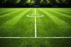 塞尔吉尼奥,报名受阻,申花对决恐,金年会体育,金年会官网,金年会线上平台,Jinnianhui,Sports