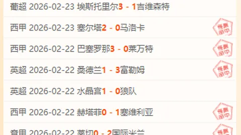 “17岁新星大马丁，十年磨砺终加盟维拉，28岁开启辉煌新篇章”