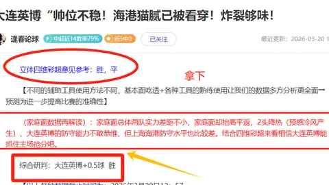 巴西甲分析：巴西国际VS格雷米奥预测及比分预测