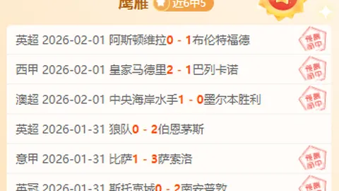 大乐透期号专家推荐：质合分析前区十码悉尼国王VS阿德莱德36